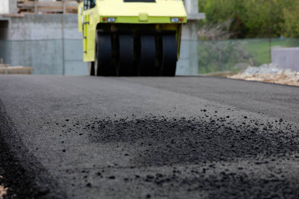 Best Concrete Paver Driveway  in Carson City, NV