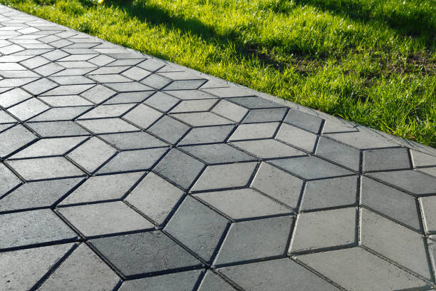 Best Concrete Paver Driveway  in Carson City, NV