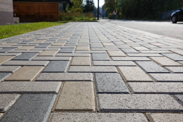 Best Driveway Pavers Near Me  in Carson City, NV