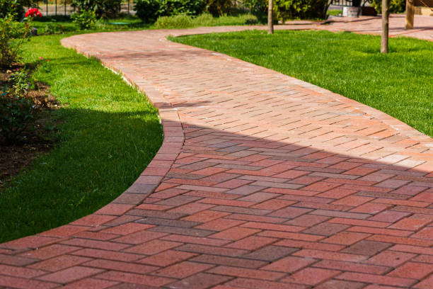 Best Professional Driveway Pavers  in Carson City, NV
