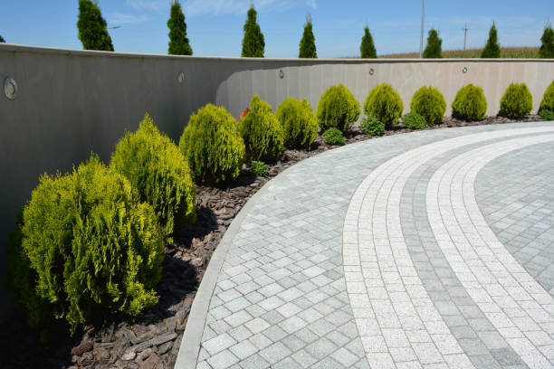  Carson City, NV Driveway Pavers Pros