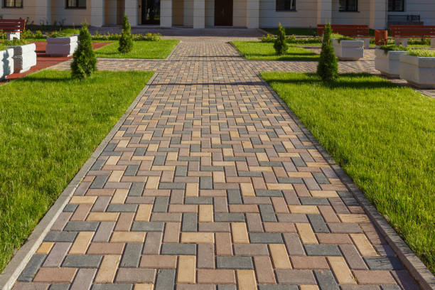 Best Residential Paver Driveway  in Carson City, NV